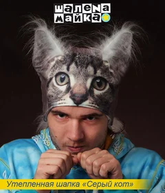 шапка серый кот